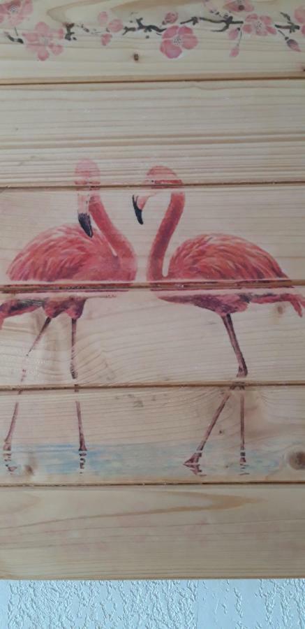 サラン・ド・ジロー Le Flamant Rose Bed & Breakfast エクステリア 写真